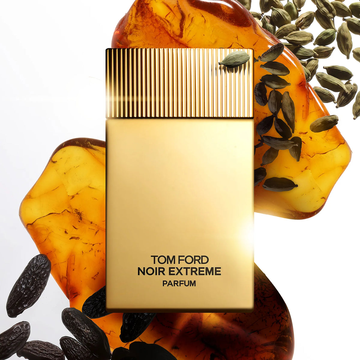 Tom Ford Noir Extreme Eau de Parfum 100 ml